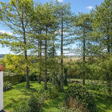 Grande Maison Jardin Clos 8 Personnes Olonne-sur-Mer