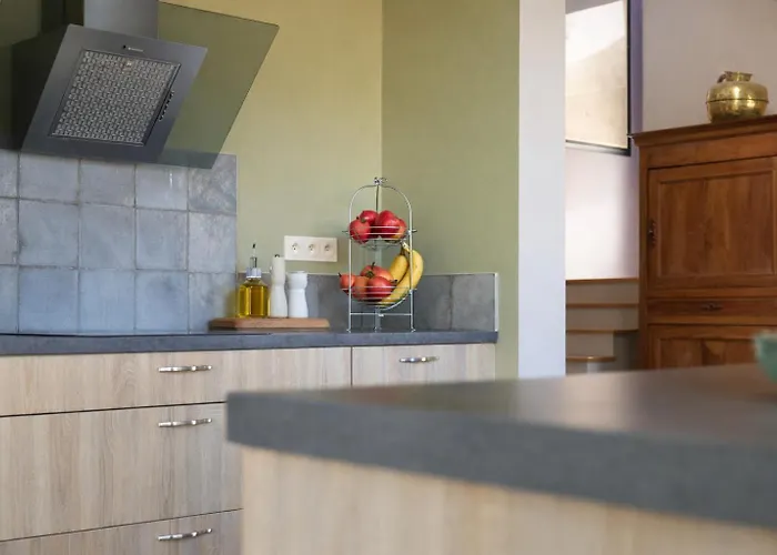 Grande Maison Jardin Clos 8 Personnes Holiday home Olonne-sur-Mer